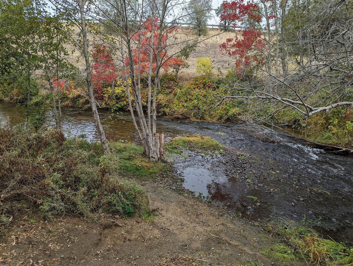 Olympus Pointe Park Adopt-a-Creek  Clean Up Event -- May 3, 2025 | Event in Roseville | AllEvents