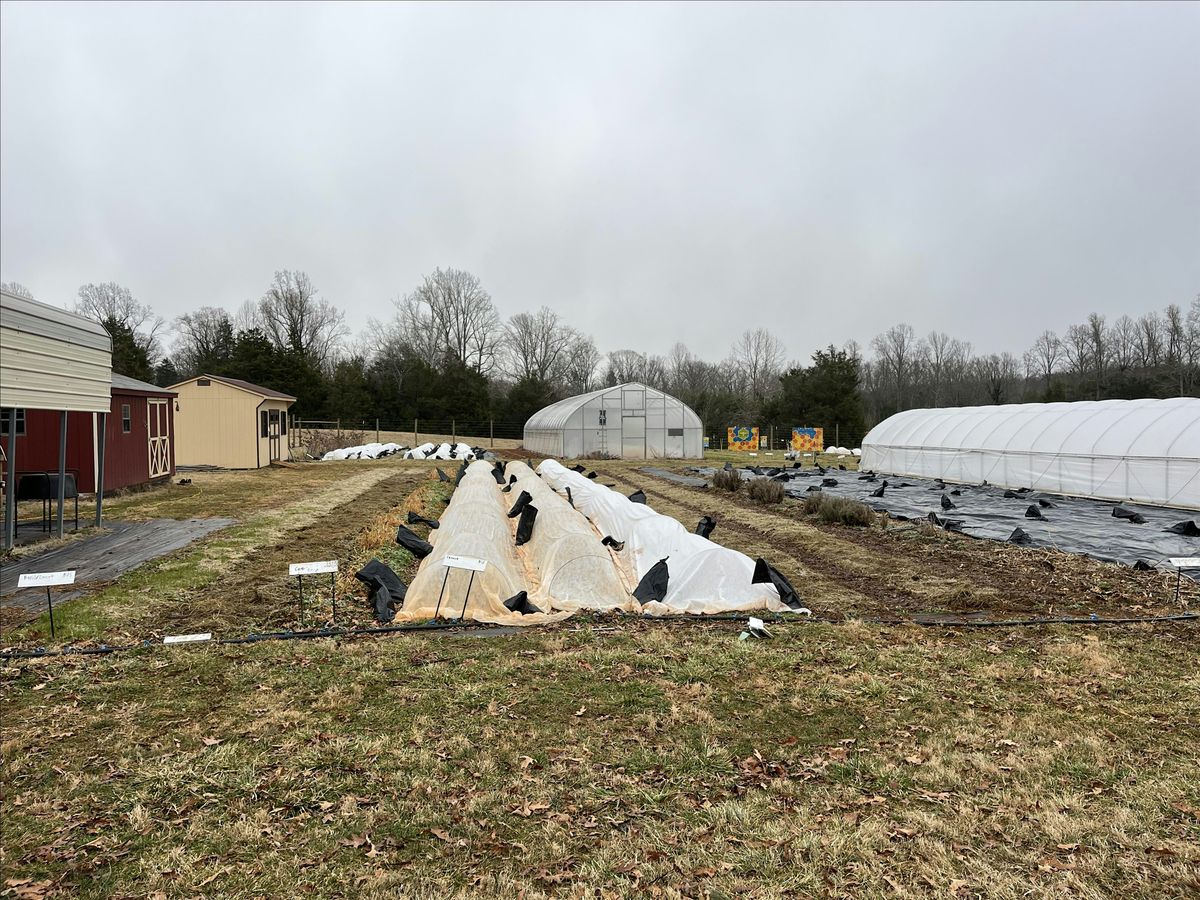 MKG Volunteer Day 12/6, 6 December | Event in Charlottesville | AllEvents