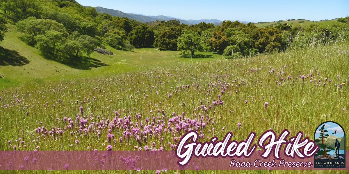 Wildflower Guided Hike - Rana Creek Preserve, 22 December | Event in Carmel Valley | AllEvents