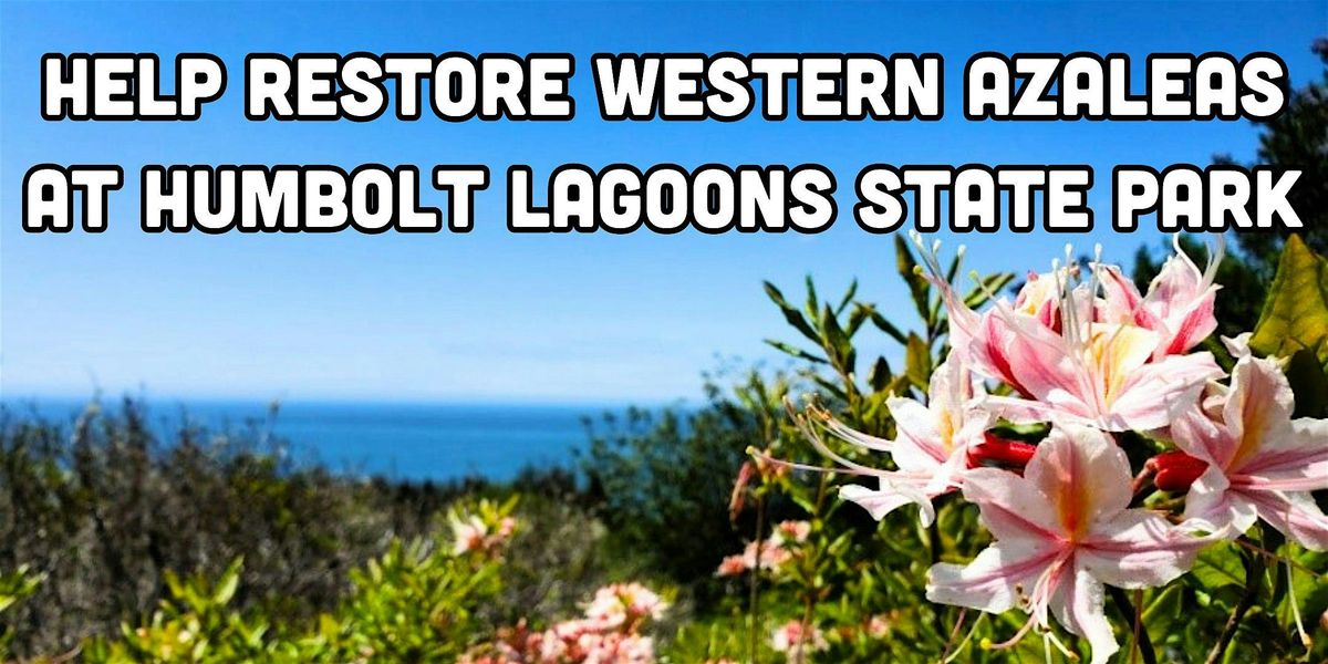 Help restore western azaleas at Humboldt Lagoons State Park | Event in Trinidad | AllEvents