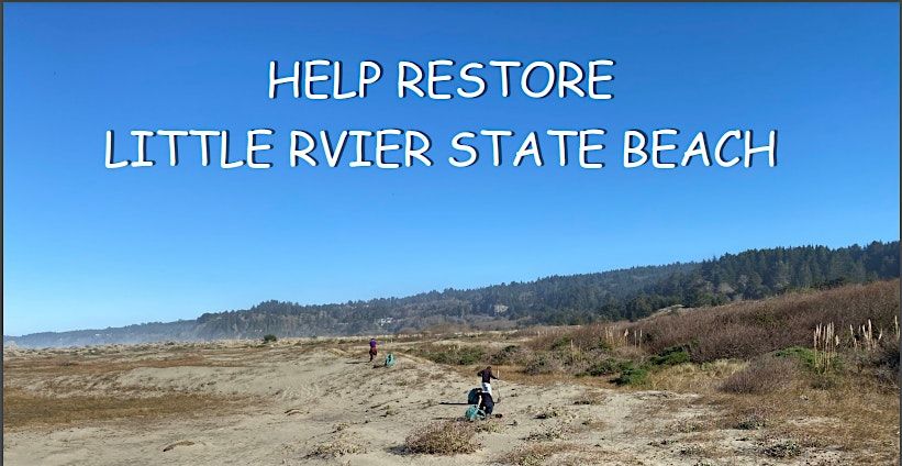 Help Restore Little River State Beach! | Event in McKinleyville | AllEvents