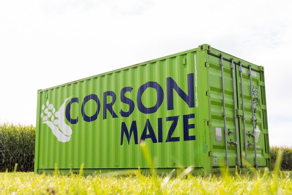 Newstead Open Day, 380 State Highway 26, Hamilton, February 22 2024