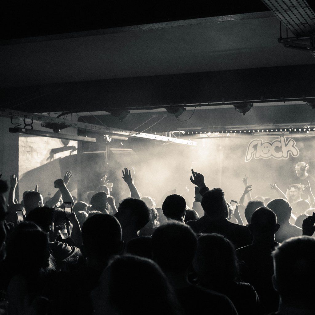 Flock Presents: Hayley Zalassi | Event in Sheffield | AllEvents