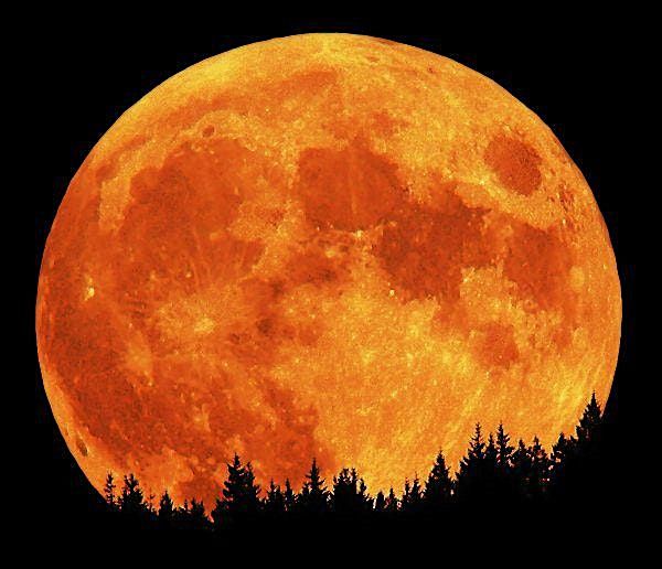 Guided Full Moon Meditation - The Hunter's Moon!, 6 October | Event in Acampo | AllEvents