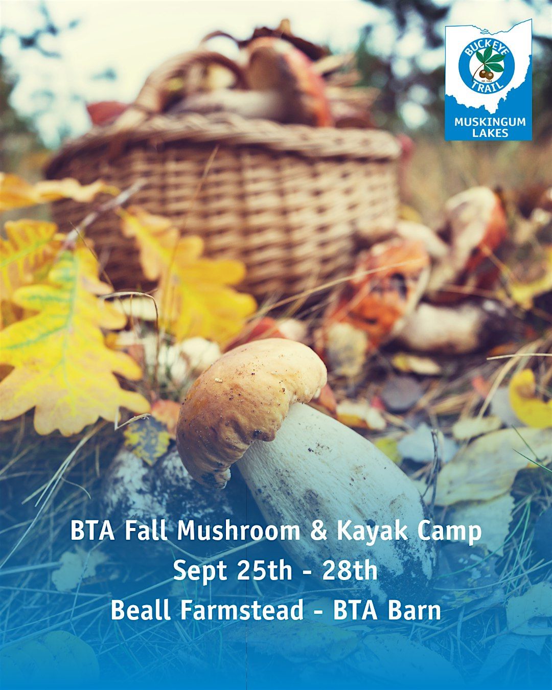 BTA Fall Mushroom & Kayak Camp, 25 September | Event in Cadiz | AllEvents