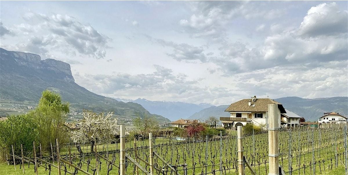 Wines of Italy Part II, 15 October | Event in Costa Mesa | AllEvents