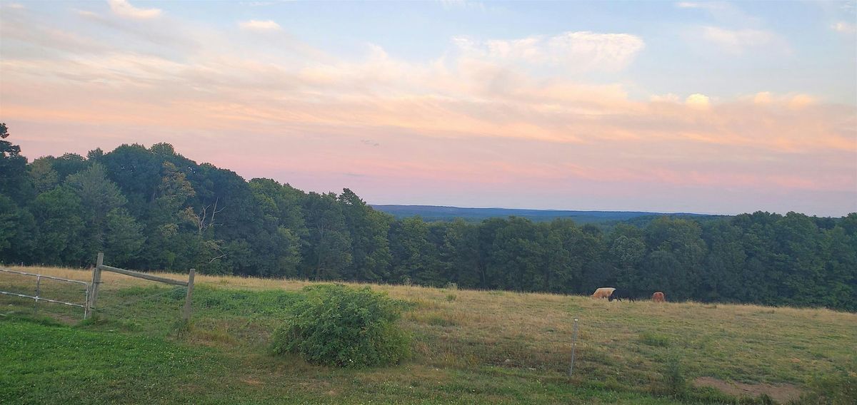 Yoga at Lilac Hedge | Event in Rutland | AllEvents