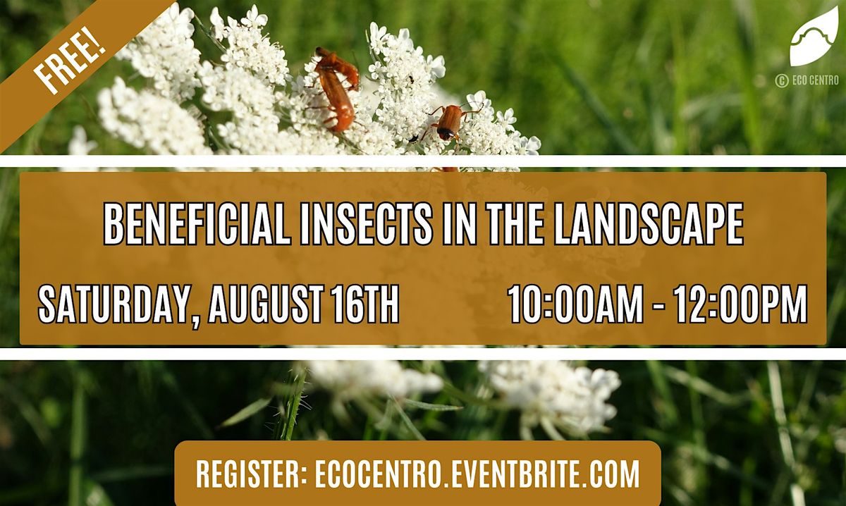 Beneficial Insects In the Landscape, 16 August | Event in San Antonio | AllEvents