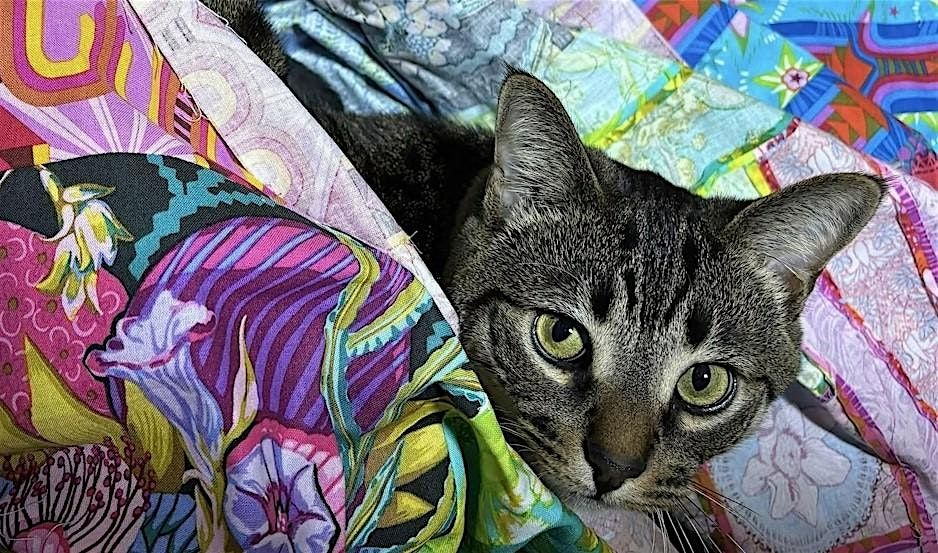 Quilt Club at the Library: Ultimate Beginner Quilt-Along | Event in Detroit | AllEvents