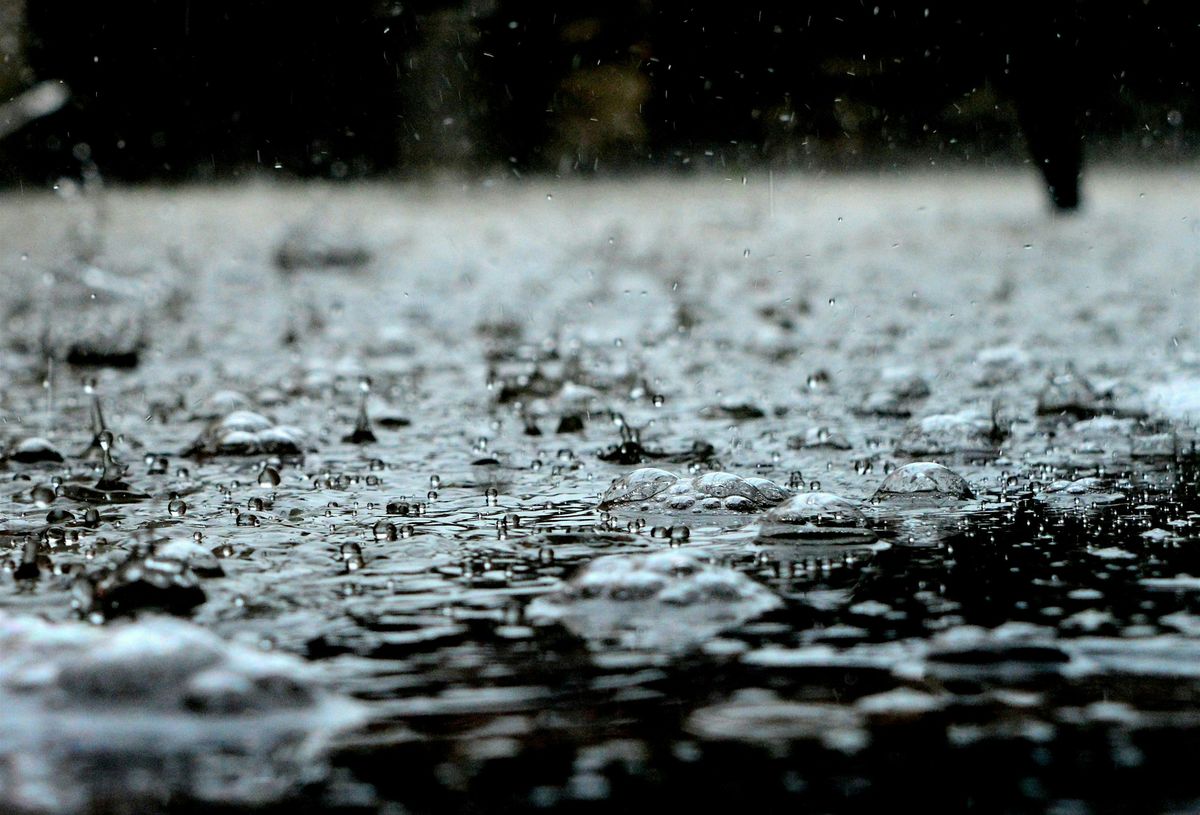 Rainwater Harvesting Workshop, 18 October | Event in Long Beach | AllEvents