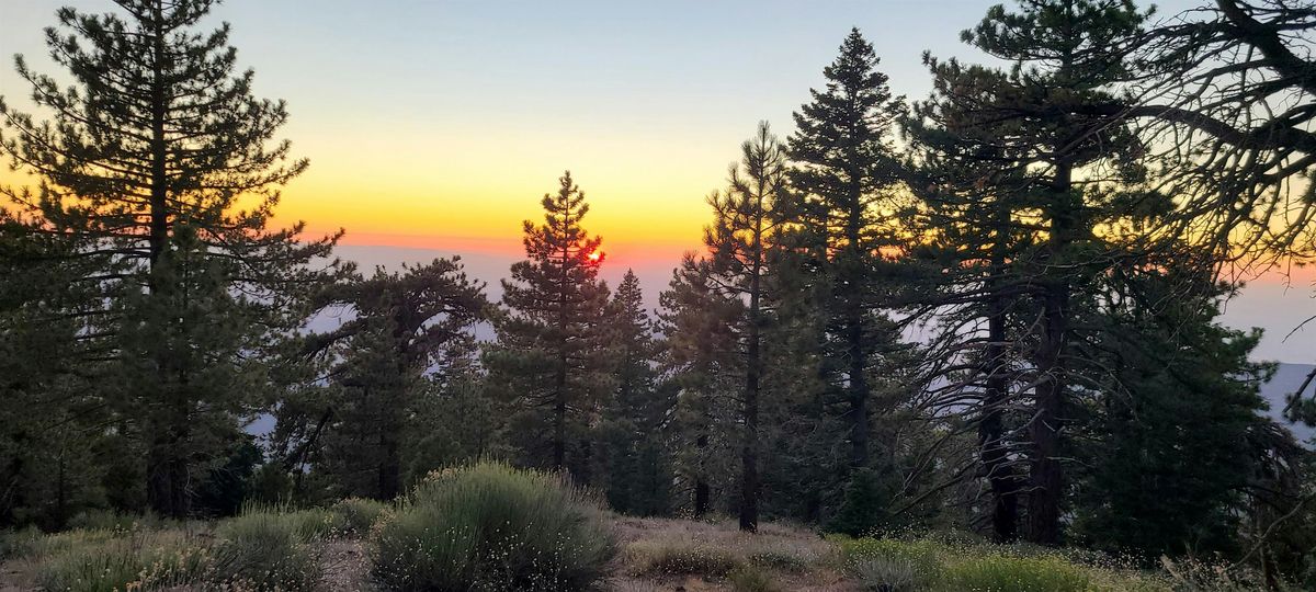 Emotional Awareness for a Calm Mind & Body, 27 July | Event in Pine Mountain Club | AllEvents