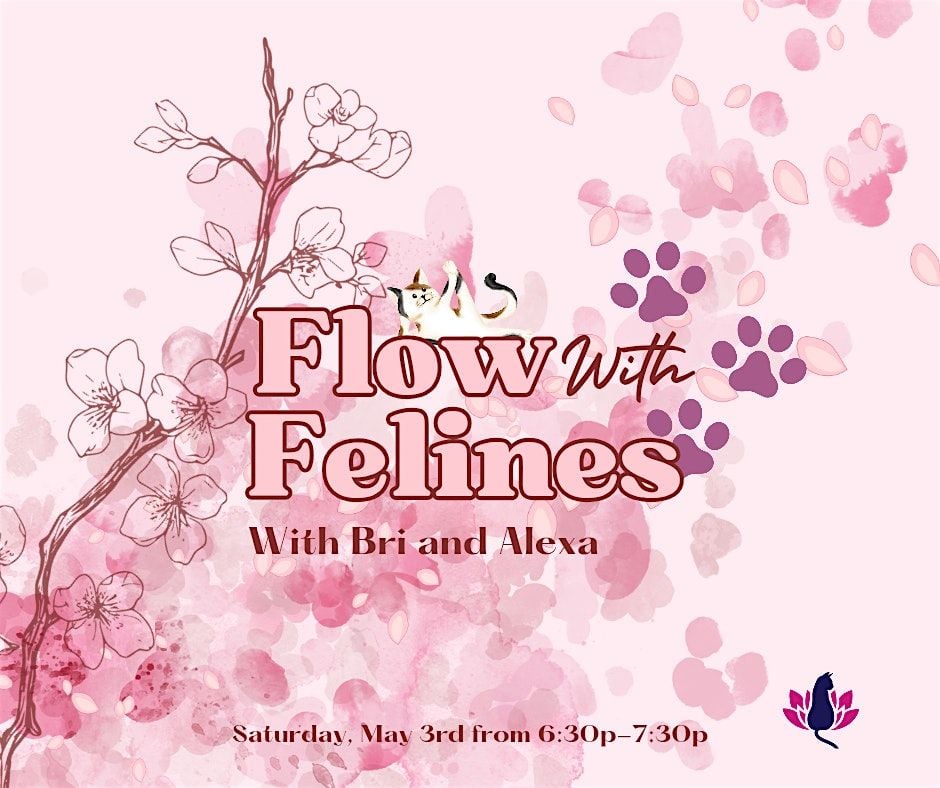 Flow with Felines, 26 July | Event in Bloomsburg | AllEvents