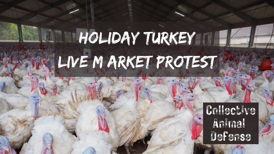Holiday Live Market Protest, Goffle Road Poultry Farm, North Haledon, November 19 2023
