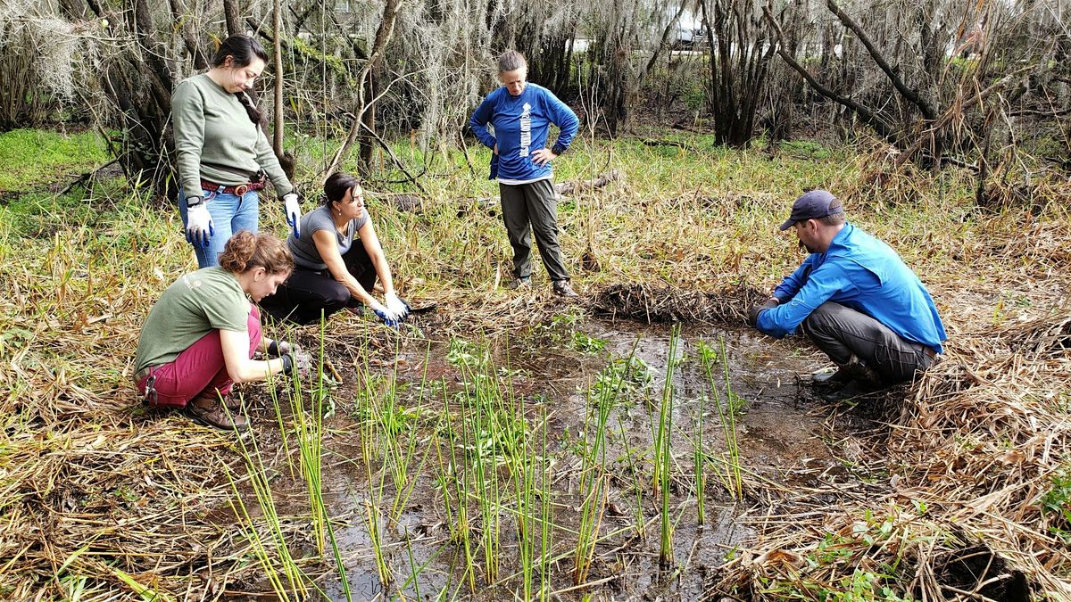 Upper Myakka Preserve Volunteer Event and Picnic, 14 November | Event in Sarasota | AllEvents
