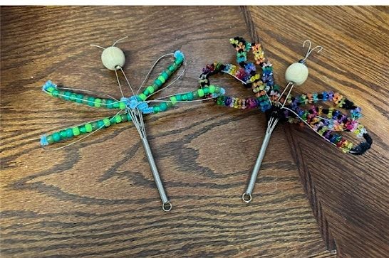 Delightful Wire Whisk Dragonflies, 10 August | Event in Staten Island | AllEvents
