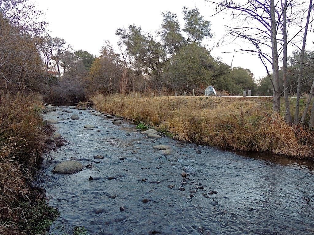 Secret Ravine Adopt-a-Creek  Clean Up Event-- Oct 18, 2025, 18 October | Event in Roseville | AllEvents