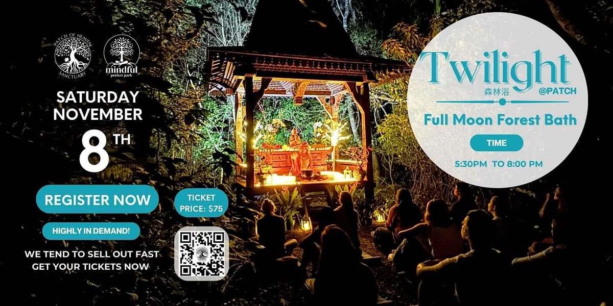 Twilight @ Patch - Full Moon Forest Bath, 8 November | Event in Miami | AllEvents