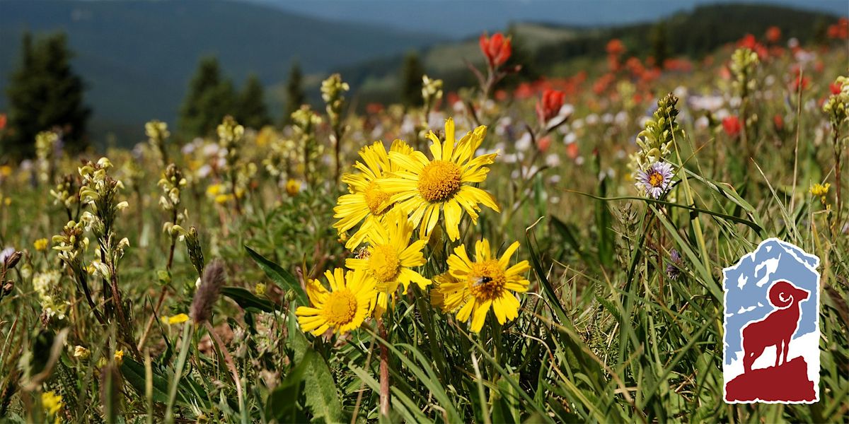 Alpine Wildflowers of Rocky Mountain National Park, 27 June | Event in Estes Park | AllEvents