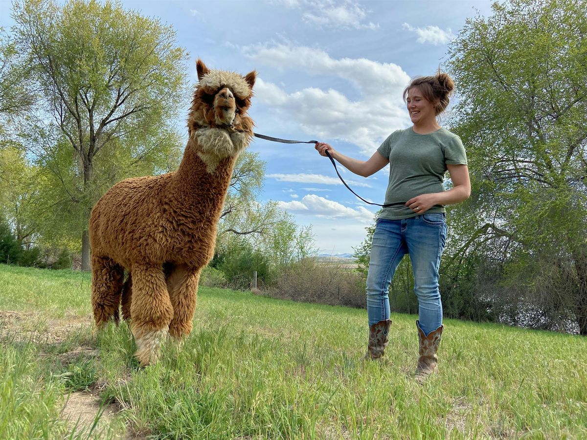 National Alpaca Farm Days at Yarnageddon & Fireball Alpacas, 27 September | Event in Caldwell | AllEvents