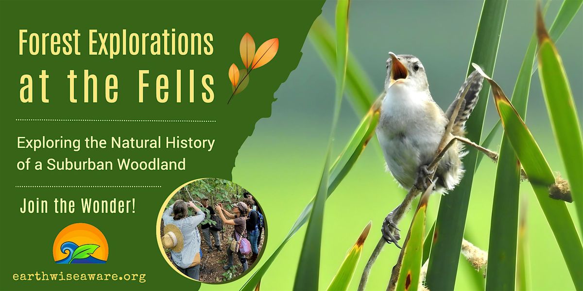 Summer Forest Explorations, 12 July | Event in Stoneham | AllEvents