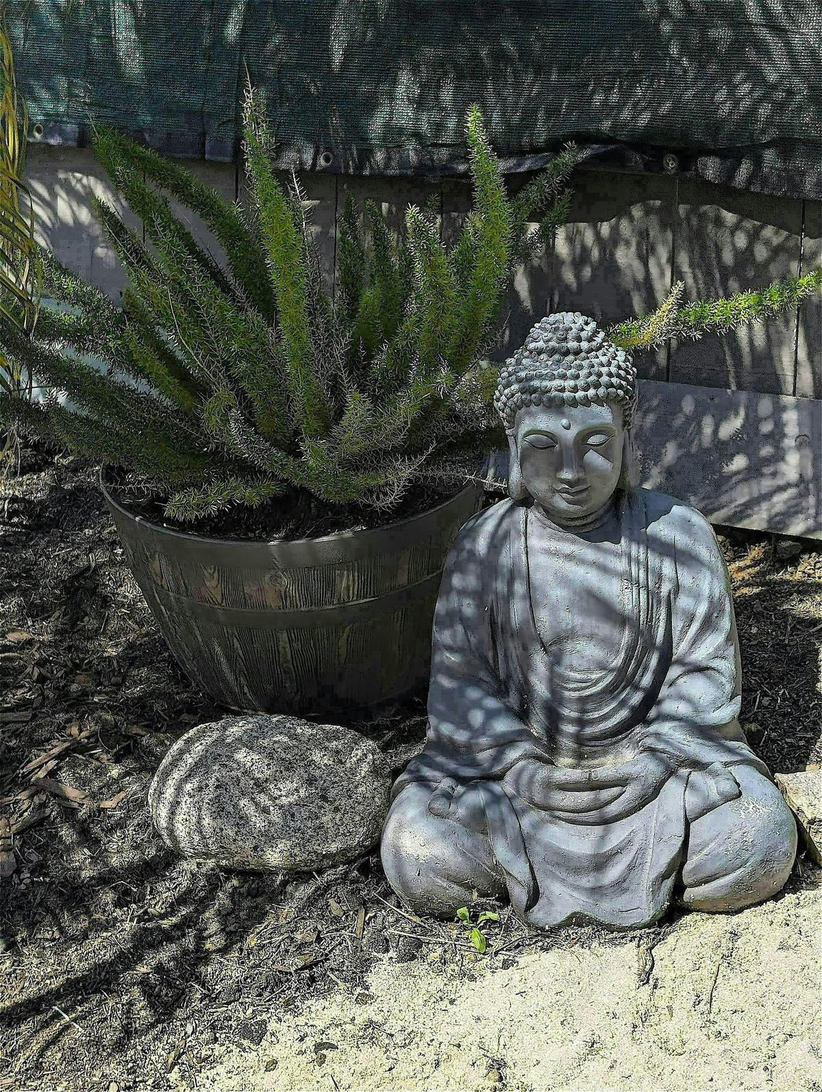 Breath and Bloom: A Sacred Garden Gathering, 31 May | Event in Oceanside | AllEvents