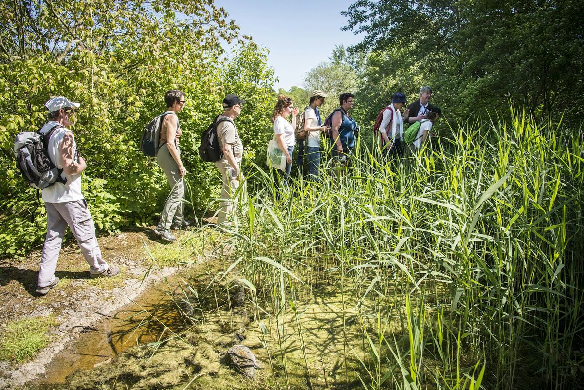 Du hub scientifique de Saclay aux vallées nature de l'Essonne, 24 August | Event in Orsay | AllEvents