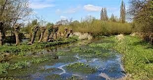 Winter morning visit to Lemsford Springs reserve., 2 January | Event in Lemsford | AllEvents