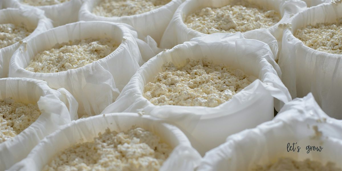 Cheese Making Workshop, 12 August | Event in Aiken | AllEvents