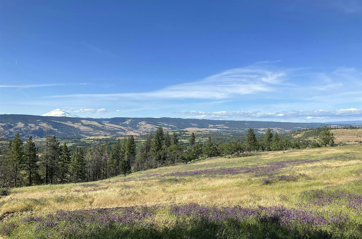 Great River Natural Burial Opening Celebration, 17 May | Event in Mosier | AllEvents