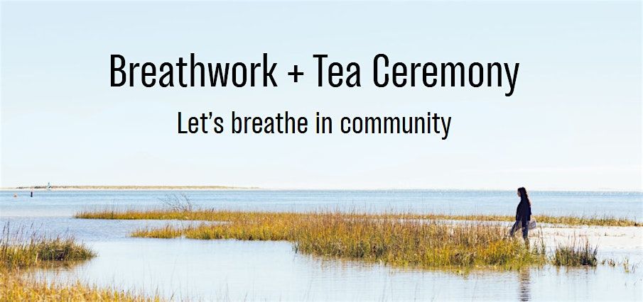 Breathing with Mimosa: A Nature-Based Tea & Breathwork Journey, 1 July | Event in Charleston | AllEvents