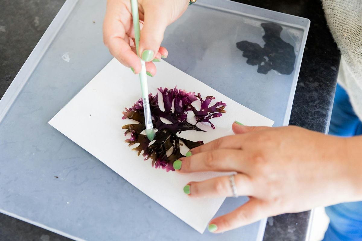 Seaweed Pressing Workshop (4hr), Broadstairs, 31 May | Event in Broadstairs | AllEvents