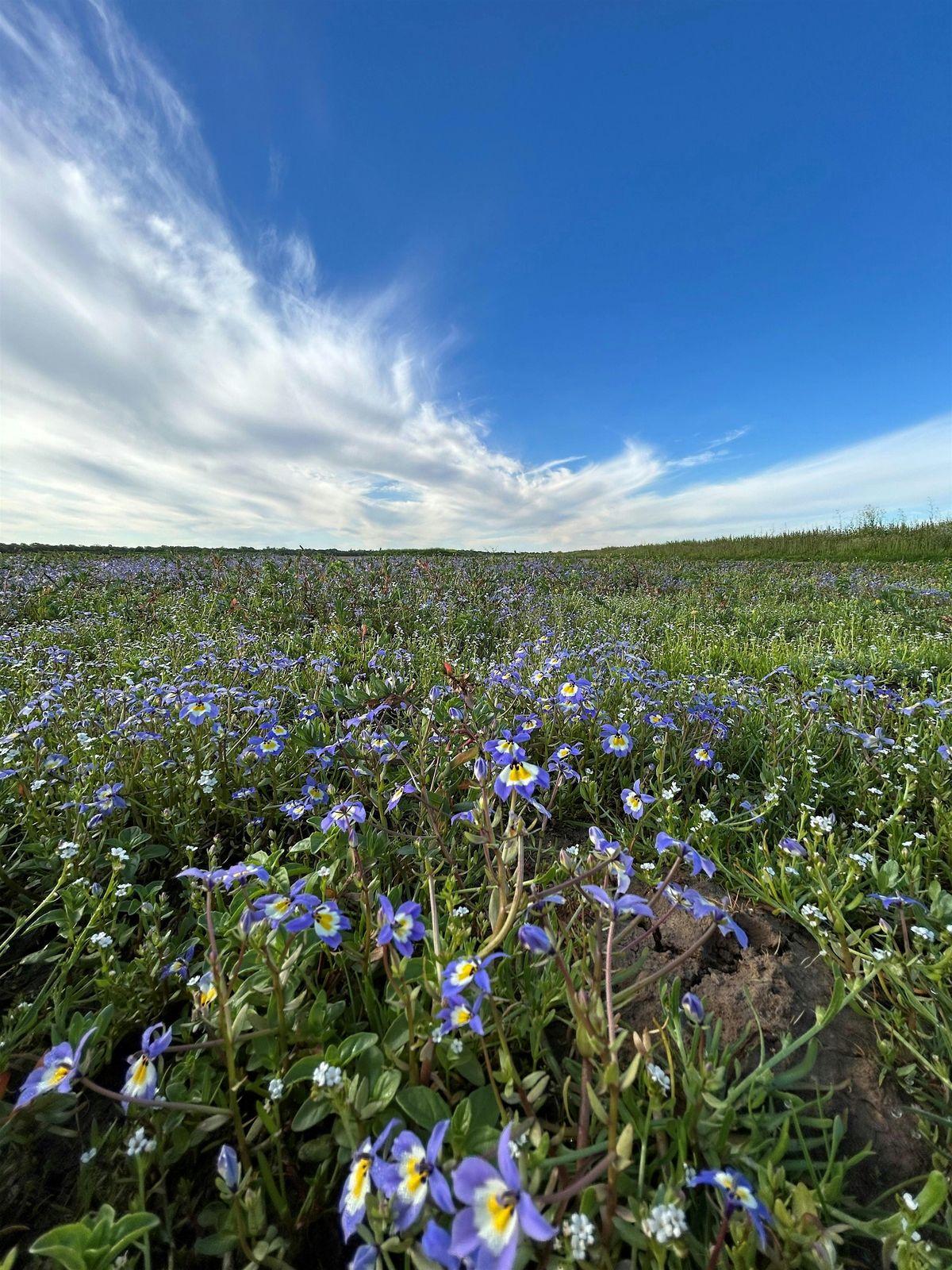 CRP Speaker Series - Seeds of Success by Rosalind Rowe, 19 September | Event in Galt | AllEvents