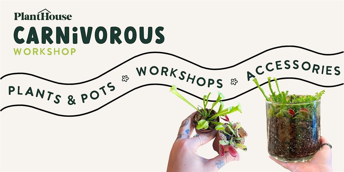 Carnivorous Workshop, 2 August | Event in Alexandria | AllEvents