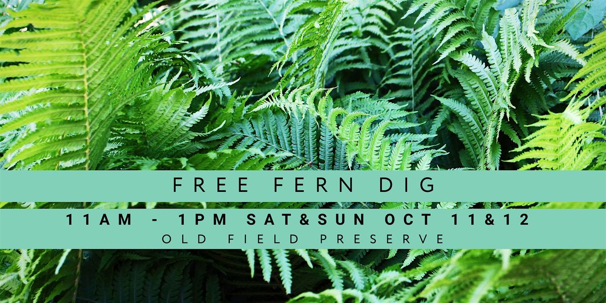 Free Fern Dig, 11 October | Event in Waccabuc | AllEvents
