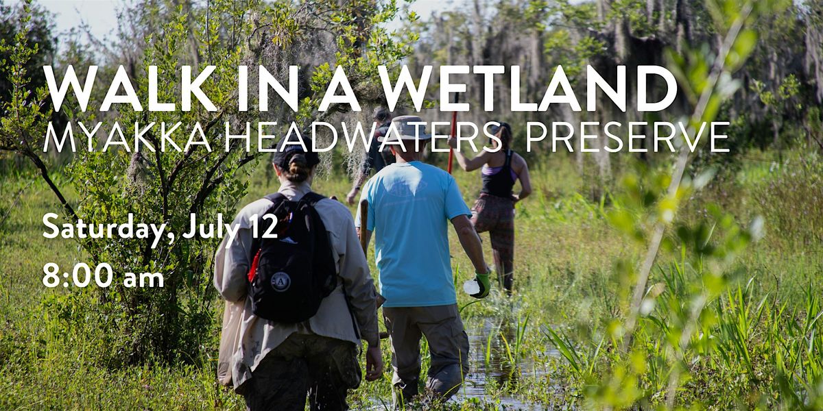 Walk in a Wetland at Myakka Headwaters Preserve, 12 July | Event in Myakka City | AllEvents