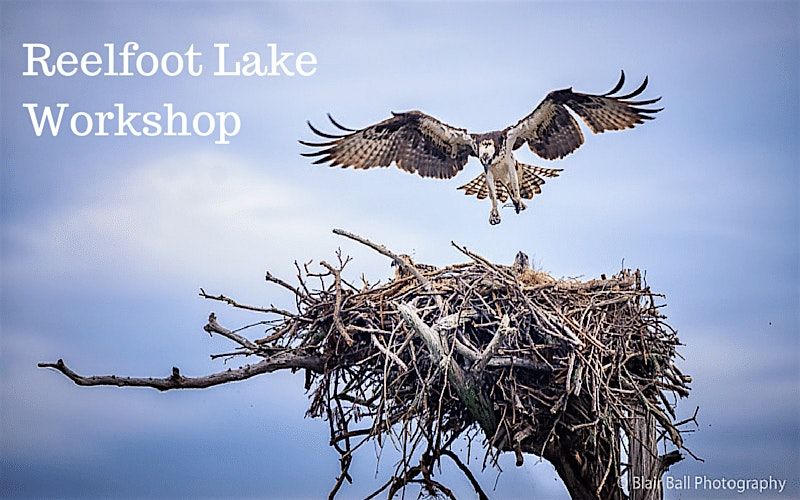 Reelfoot Lake Photo Workshop, 27 June | Event in Hornbeak | AllEvents