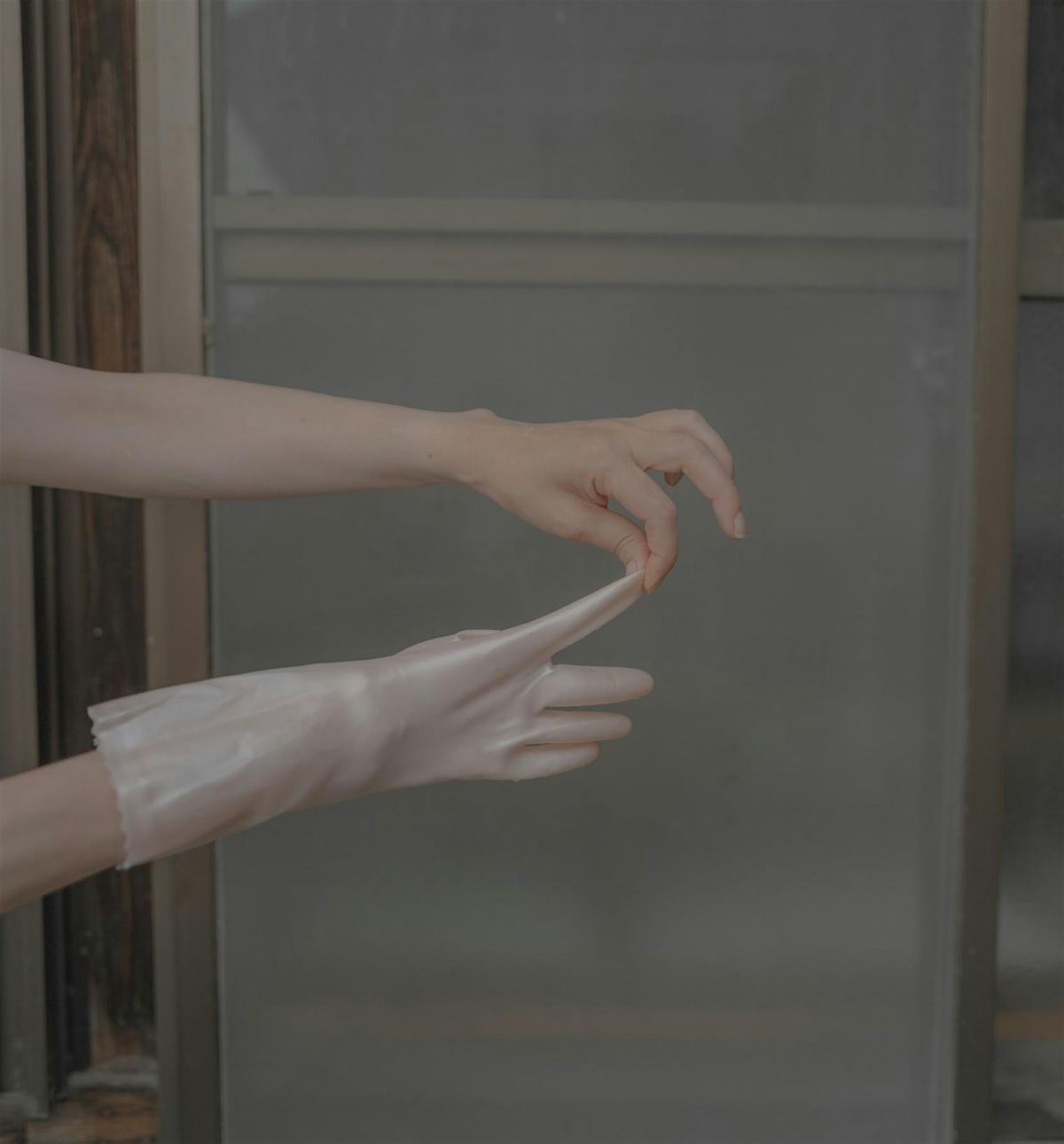 Leica Talk com Teresa Freitas — Apresentação de Flower(s) | Event in Porto | AllEvents