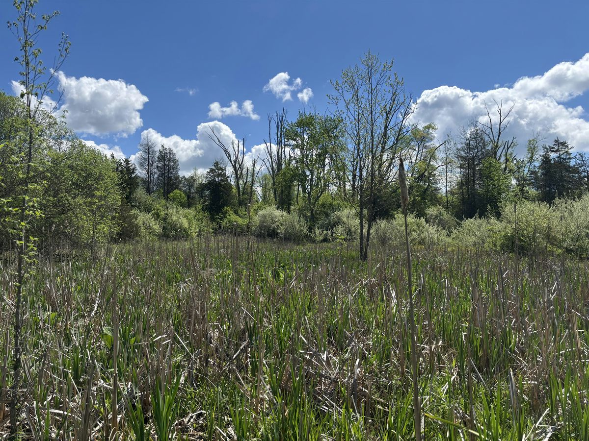 Breakfast with Biologists, 24 July | Event in Maurice River | AllEvents