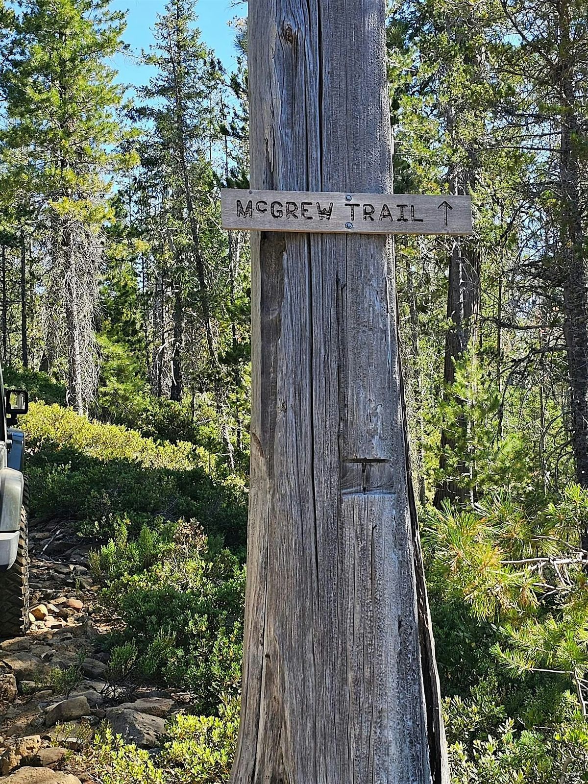Jeep Babes McGrew Trail and Redwoods Run, 11 July | Event in O'Brien | AllEvents