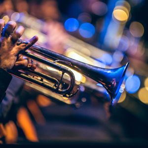 Pink Martini (Concert)