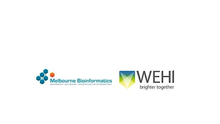 Creating R Packages, 18 September | Event in North Melbourne | AllEvents
