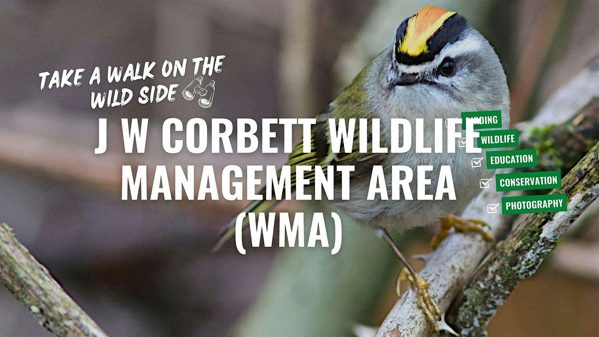 Take a Walk on the Wild Side at J W Corbett Wildlife Management Area, 18 April | Event in West Palm Beach