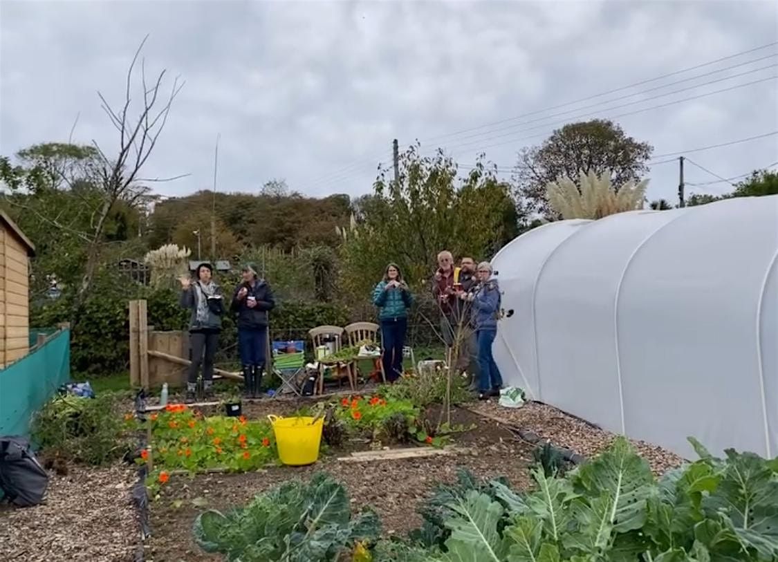 Community allotment volunteering session, 24 August | Event in Hayle | AllEvents