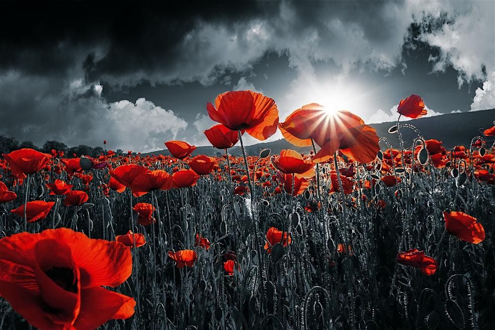 Remembrance - The Armed Man, and Requiem for the Living, 8 November | Event in Wakefield | AllEvents