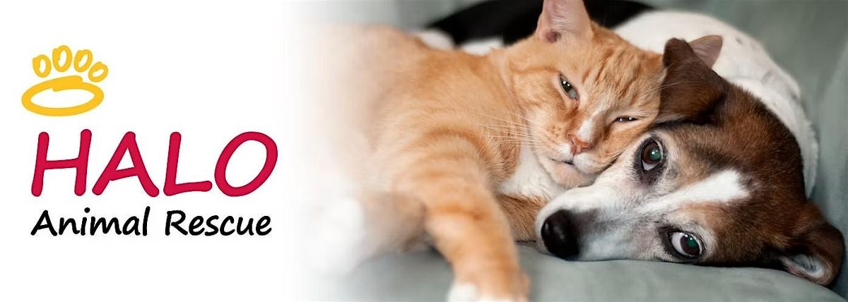 Pet Adoption Event by HALO Animal Rescue | Event in Phoenix | AllEvents