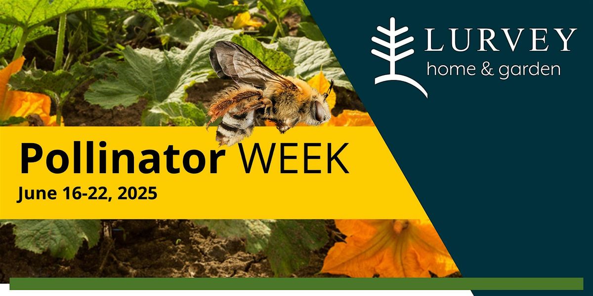 National Pollinator Week 2025 Finale, 22 June | Event in Des Plaines | AllEvents