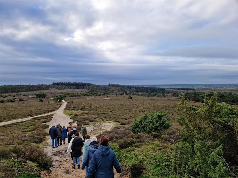 Lemelerberg in beweging, 28 November | Event in Lemele | AllEvents