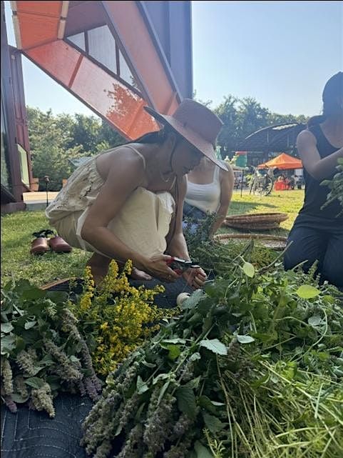Herb Exploration + Tea Meditation with Kimberly Chou Tsun An, 18 May | Event in New York | AllEvents