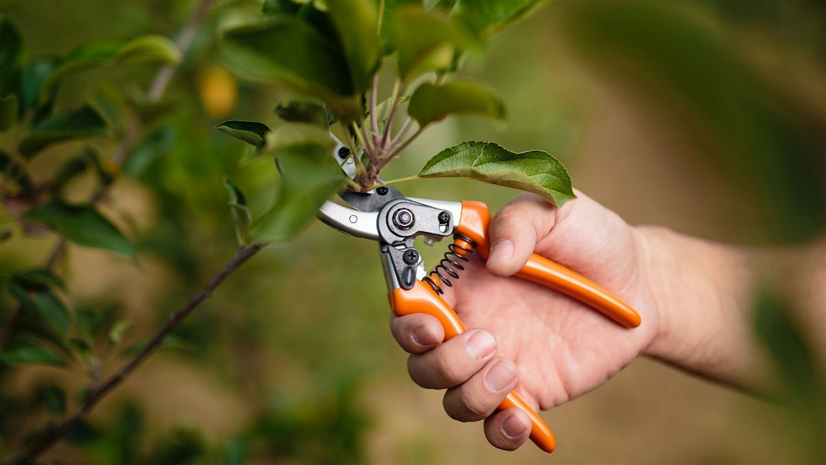 Fall Pruning 101, 29 October | Event in Asheville | AllEvents