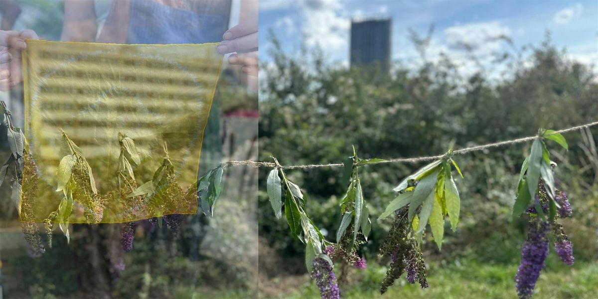 Natural Dying with Buddleia, 4 October | Event in London | AllEvents